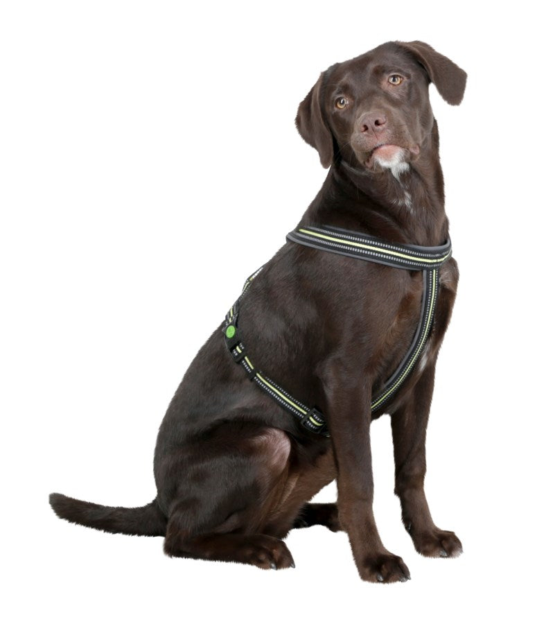 Reflekterende hundesele "Norwegian"