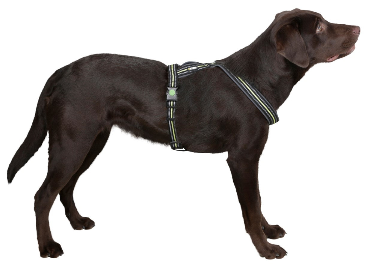 Reflekterende hundesele "Norwegian"