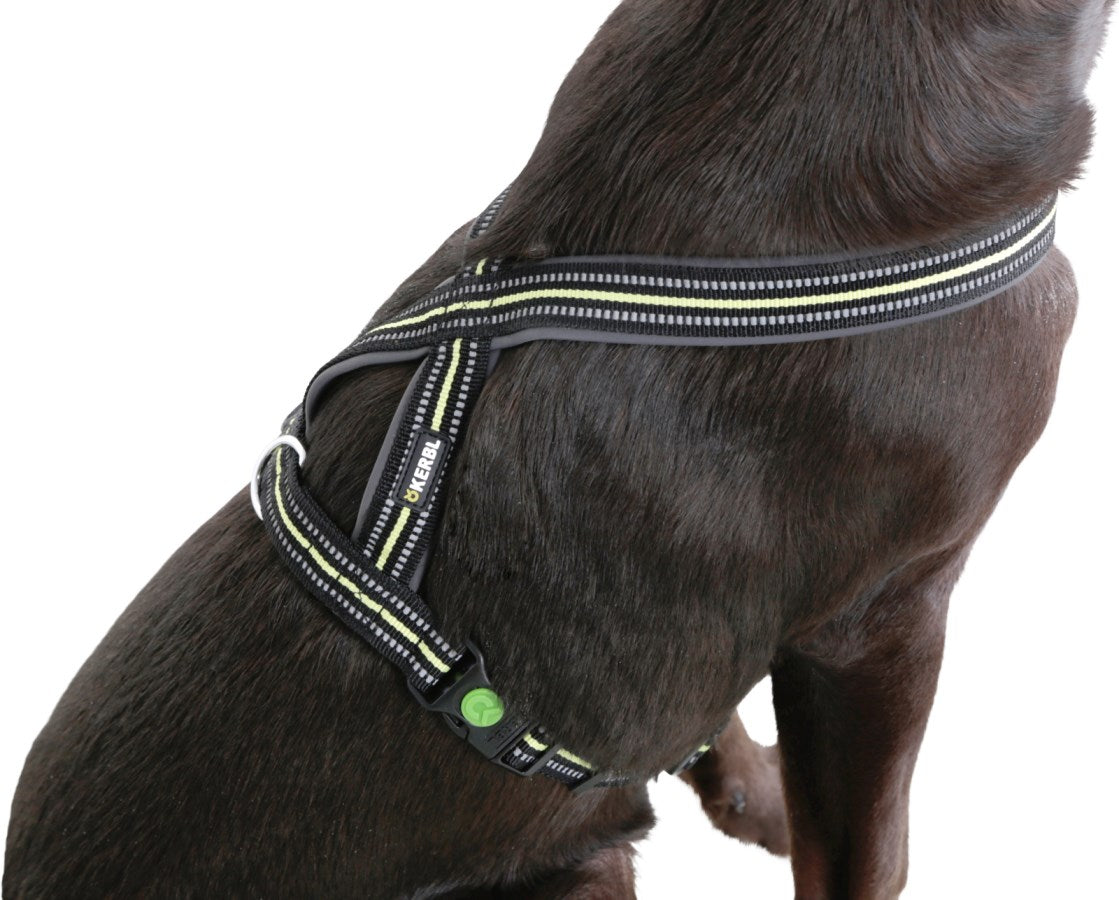 Reflekterende hundesele "Norwegian"