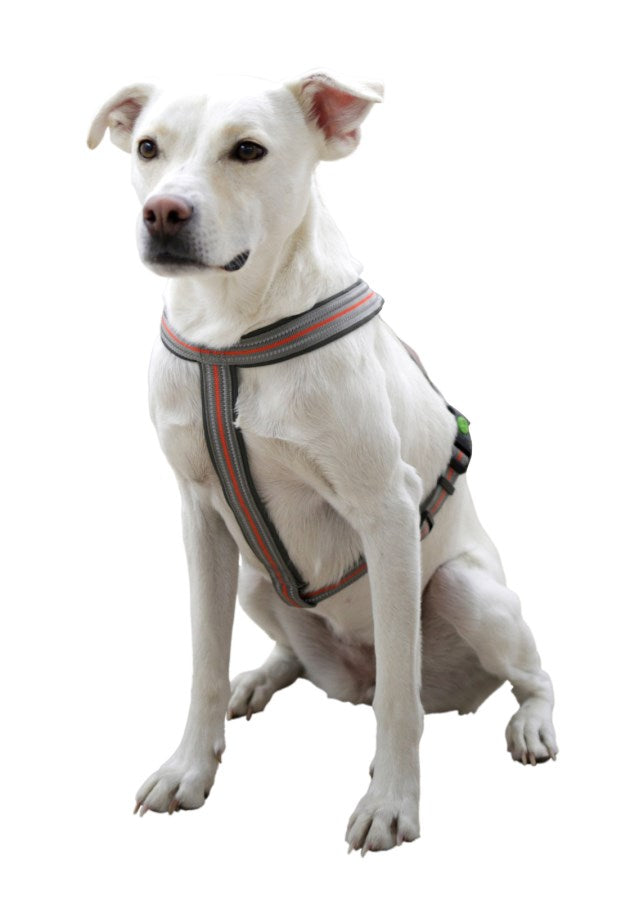 Reflekterende hundesele "Norwegian"
