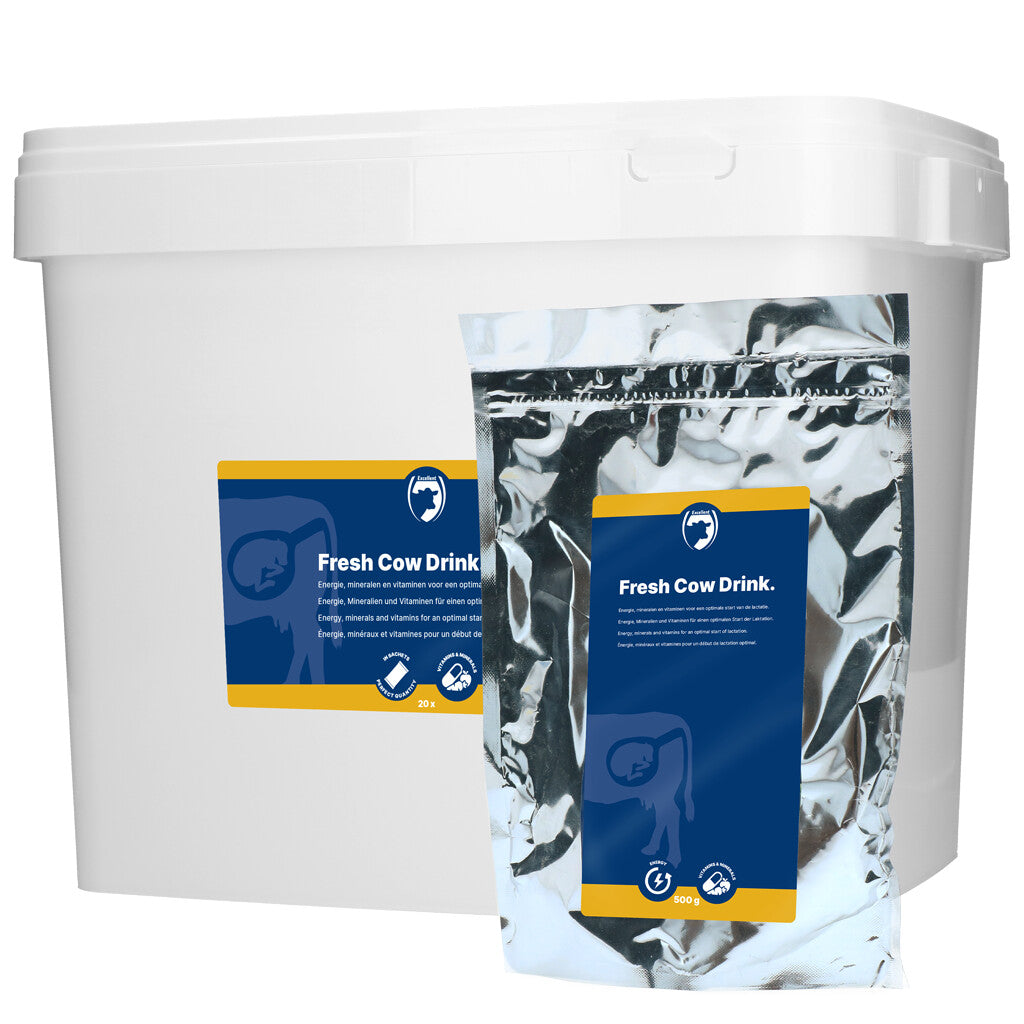 Fresh Cow drink 20x 500g