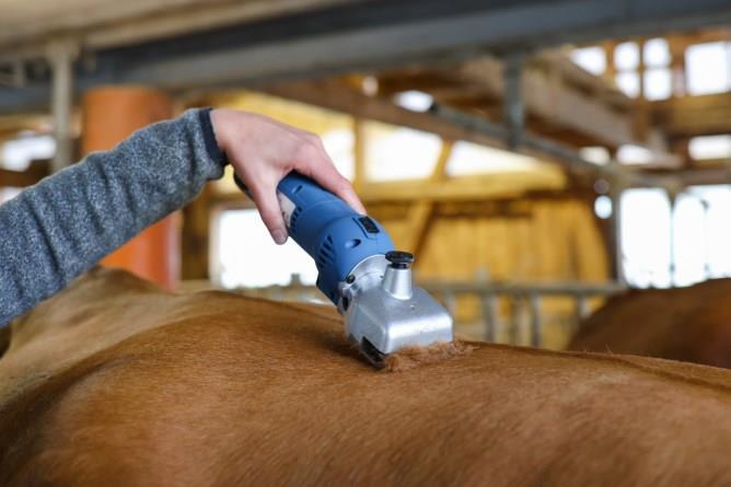 Batterimaskine Farmclipper hest