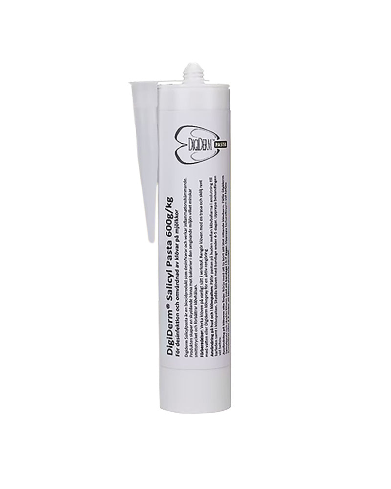 Digiderm Salicylpasta 600 g/ kg, 300 ml