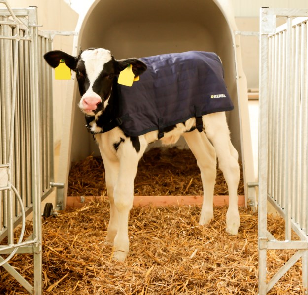 Kalvtäcke Easywear