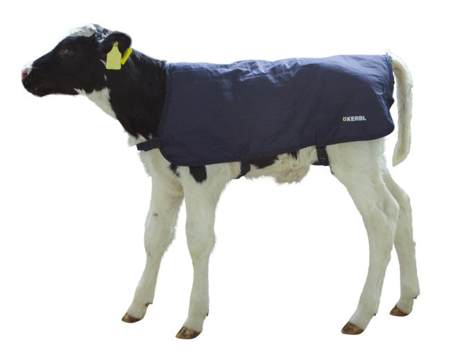 Kalvtäcke Easywear