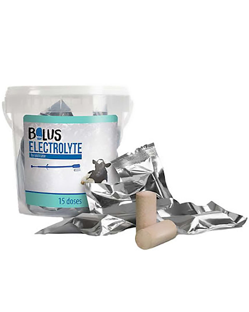 Bolus elektrolyt
