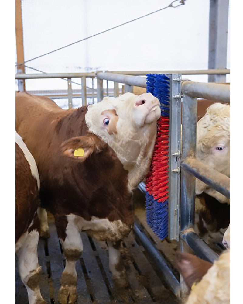 Reservebørste Happy Cow Bully