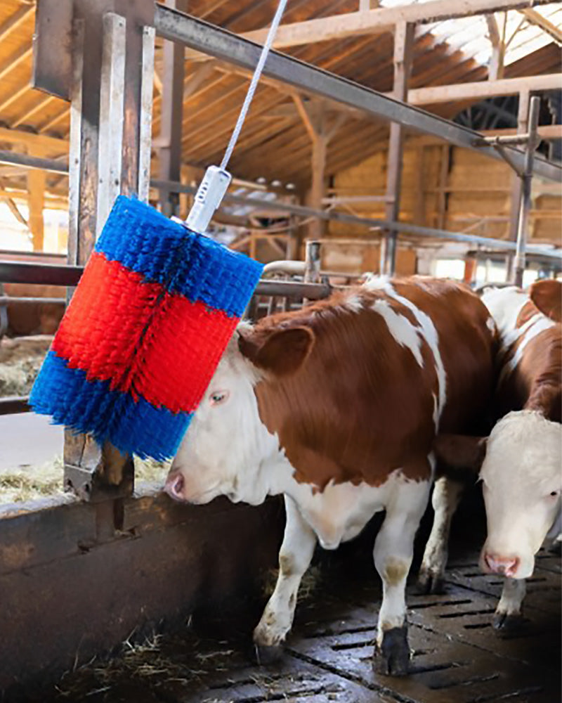 Huhuharja Happy Cow vapaa Midi
