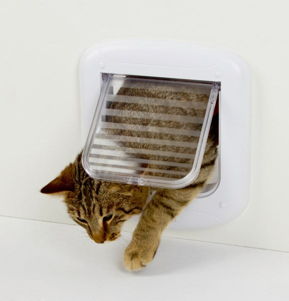 Katteluge 4-vejs