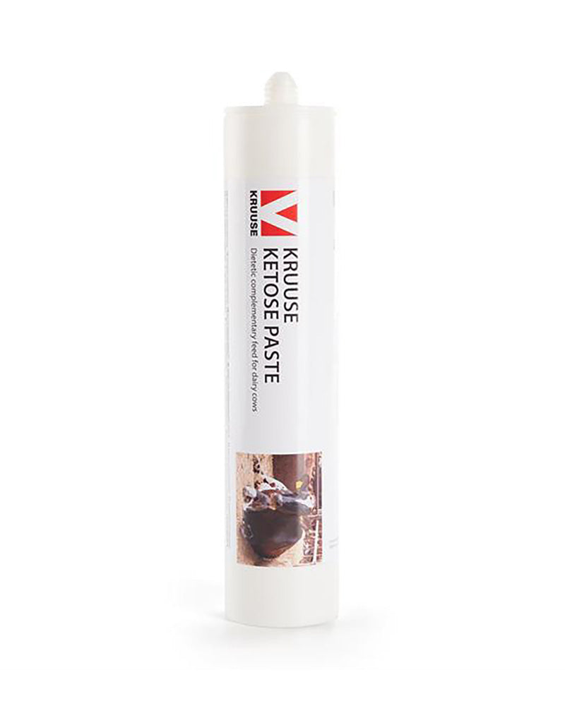 Kruuse Ketos/energipasta