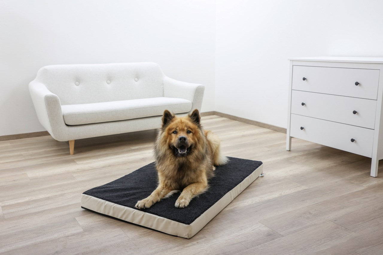 Hundemadras Memory-Foam
