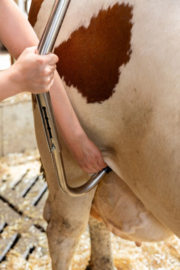 Sparkbåge med Quick-Release System i rostfritt stål