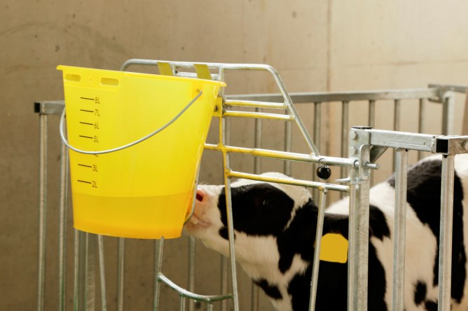 Calfable läpinäkyvä 8L