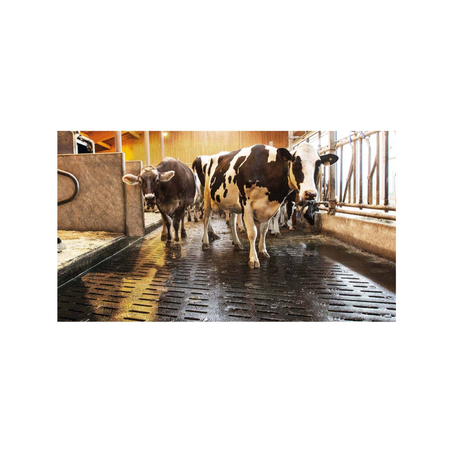 Kraiburg profiKURA S – Skräddarsydd 24 mm korundmatta för spaltgolv i gångar