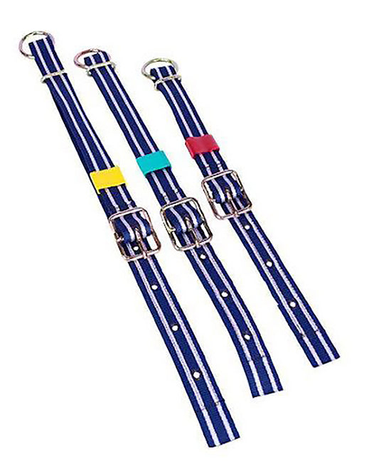 Kaulahihna lehmät/nuoret eläimet/sonni/vasikka