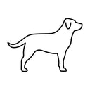 Husdjur - Hund & Katt