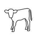 Produkter för kalvskötsel inom lantbruk. Utfodring, vård, hygien och utrustning för en trygg och hälsosam start för kalvar.