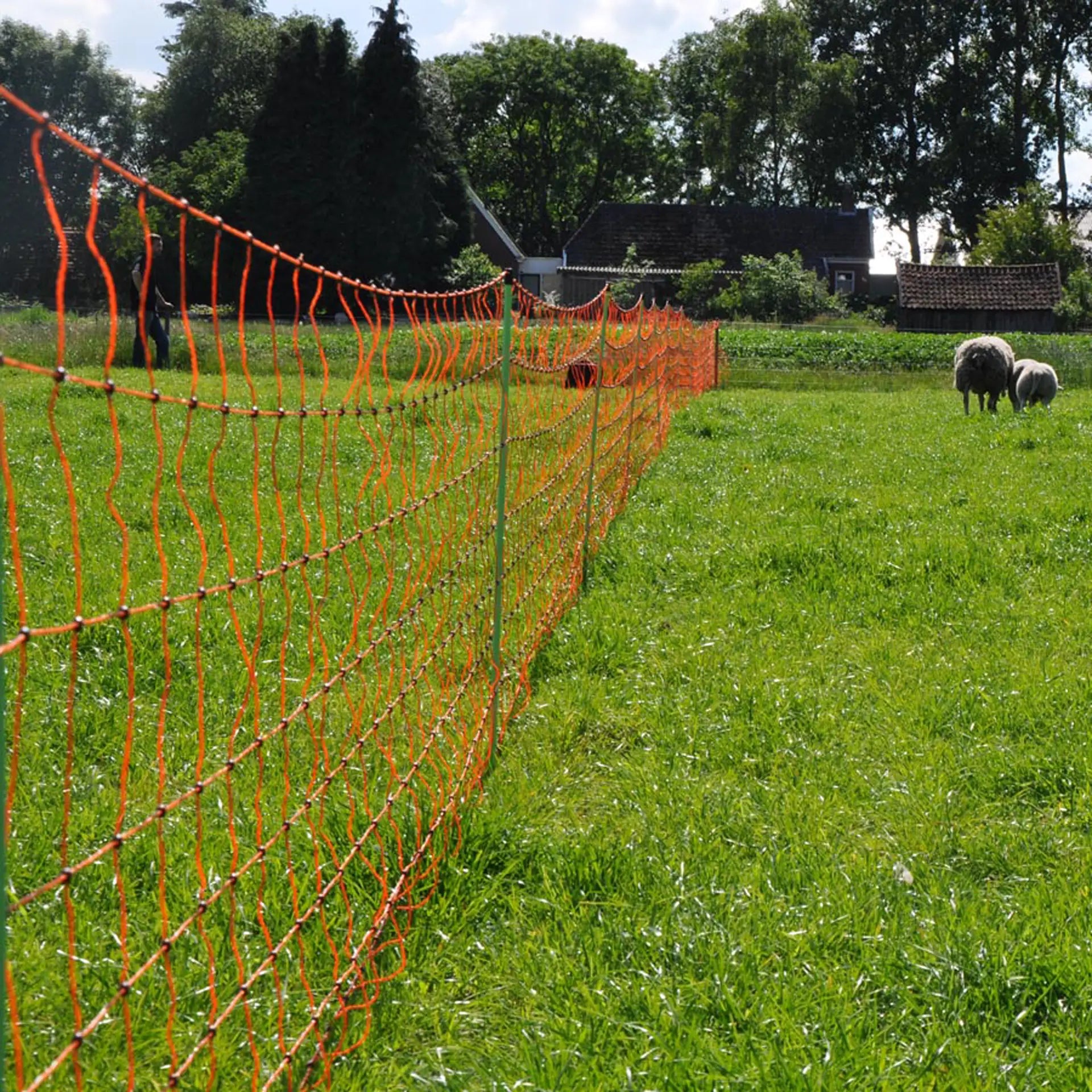 Gallagher EuroNetz Fårnät- med enkel spets 90 cm × 50 m