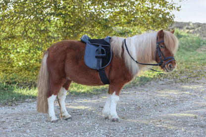 Sadelset Economy Pony – komplett sadelpaket för ponny