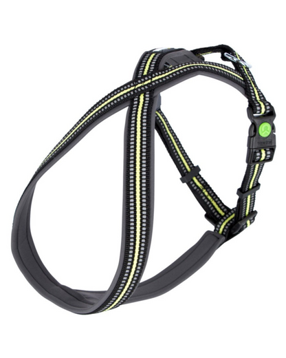 Reflekterande hundsele "Xenos"