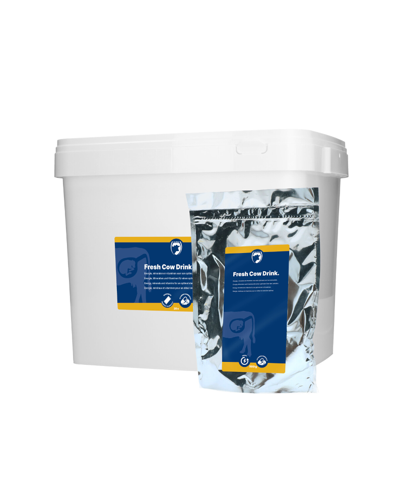 Fresh Cow drink 20x 500g
