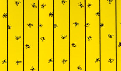 Flugpapper FlyMaster 6-p