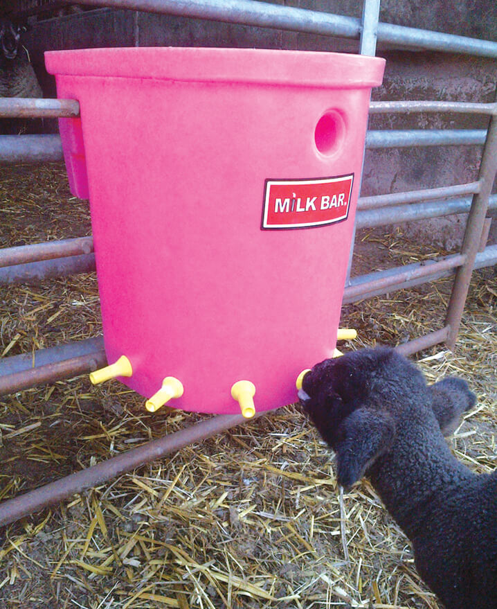 Milk Bar Lamm/Killing Training Teat (10-p)