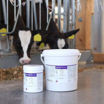 Agrobac-K Powder – Tarmstöd för kalvar vid diarré