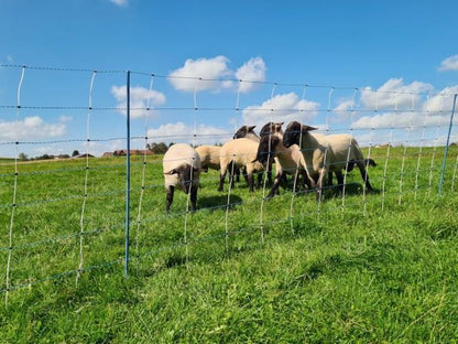 Ako TitanNet Premium varg