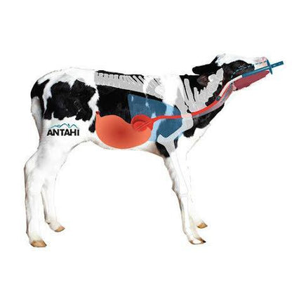 Sond med lock Antahi råmjölkspåsar