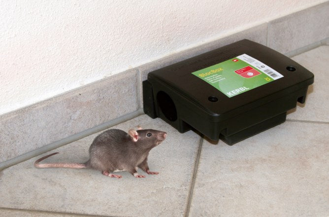 Lokkestation for rottegift, Beta