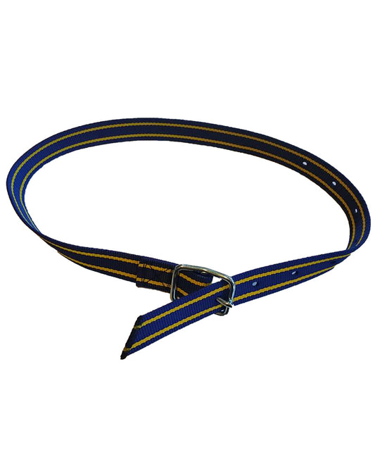 Transponerhalsband blå-gul