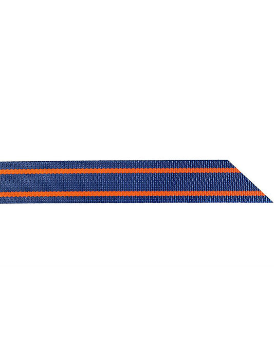 Halsrem blå-orange komplet