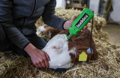 Avhornare Buddex Batteri