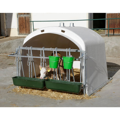 CalfHouse Premium XL - Stor kalvhydda för upp till 5 kalvar