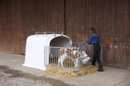 CalfHouse Premium Duo