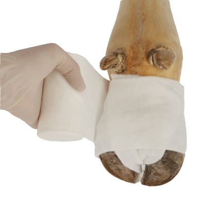 Puuvillainen sideharso CottinoStar 6 kpl 