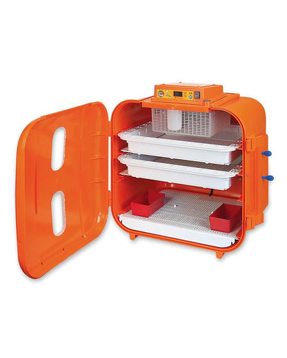 Äggkläckare Covatutto 108 digital