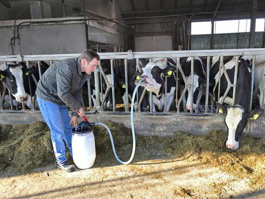 Cow Drench R – produktbild drench för ko