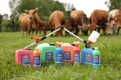 Brunstidentifikationsfärg Daisy Paint