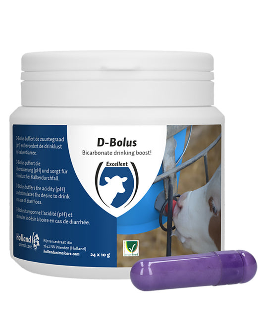 D-bolus kalv
