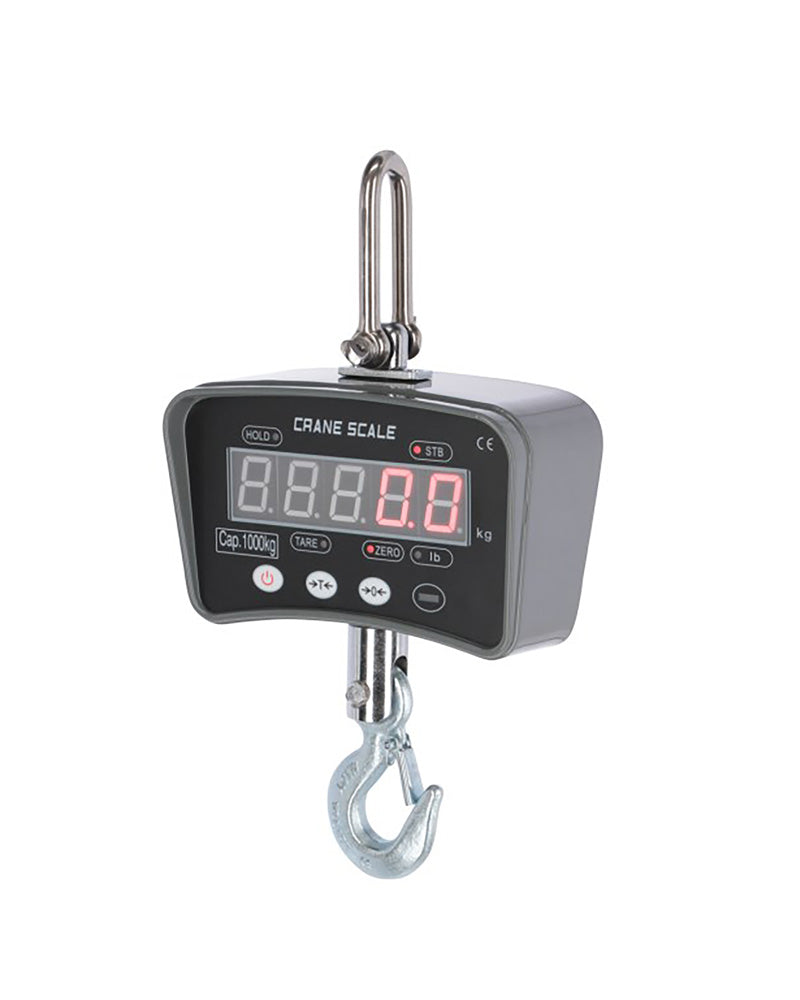 DigiScale 1000