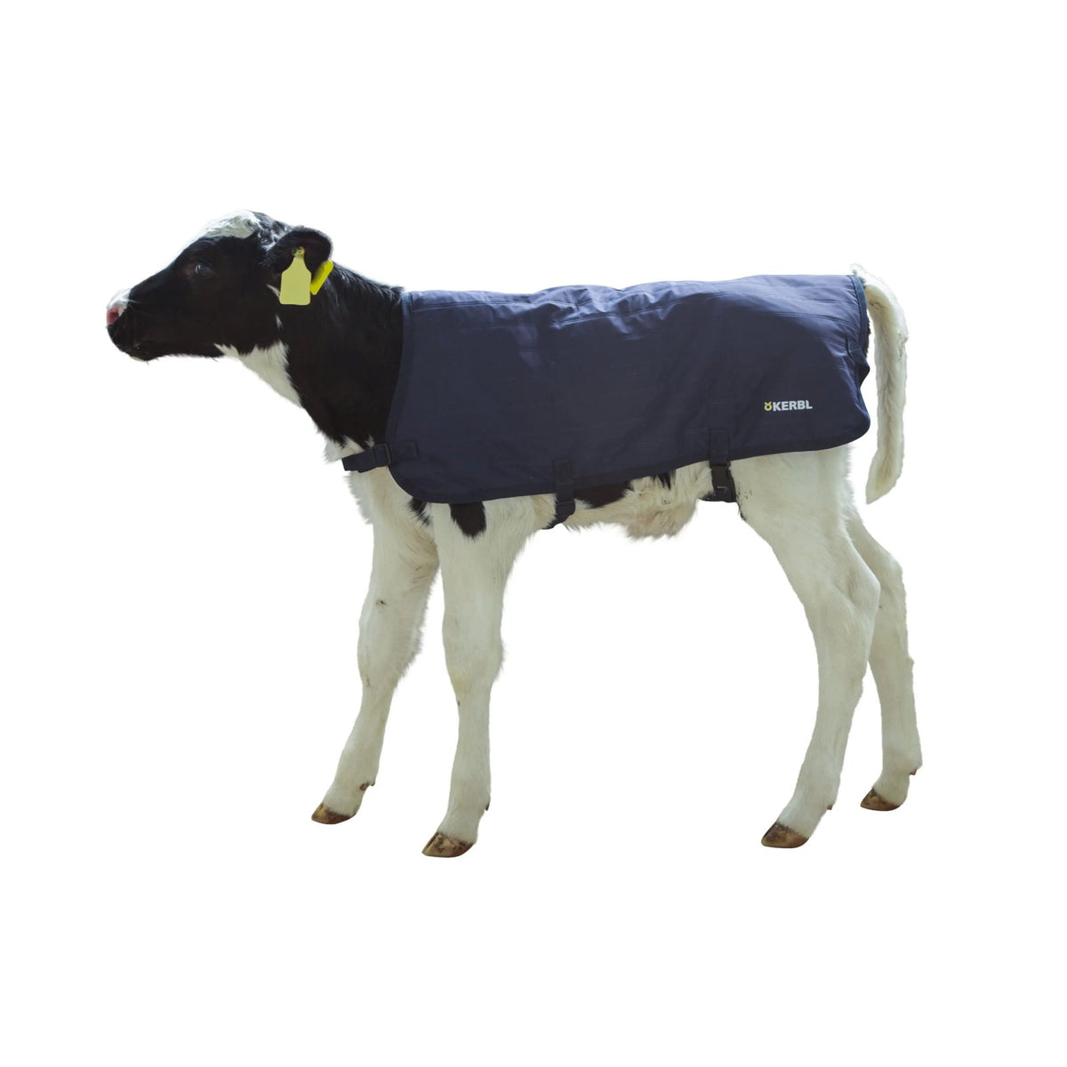 Pohjepeitto Easywear