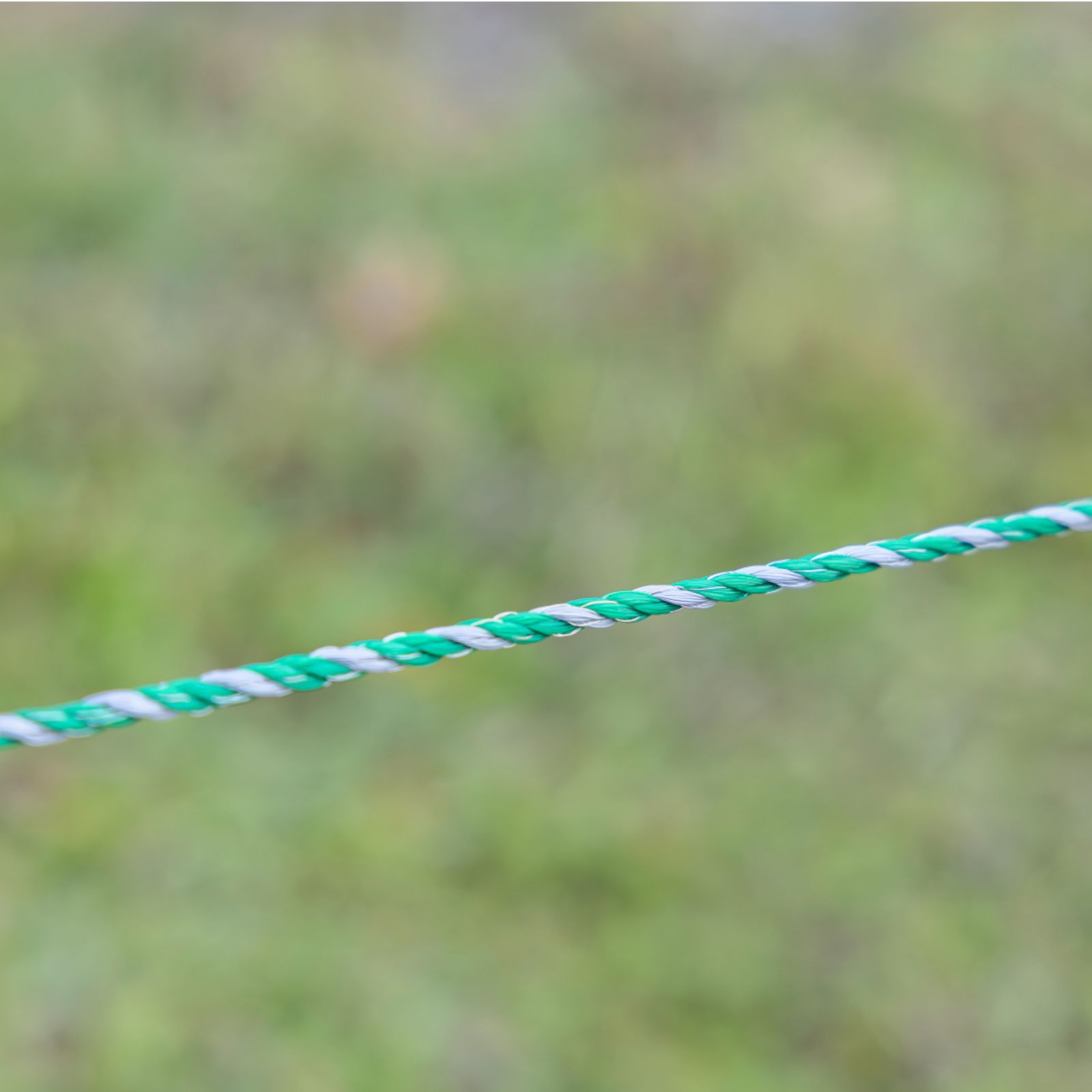 EconomyLine rep 6mm,  200 m recycling - Grönt elstängselrep av återvunnet plastmaterial