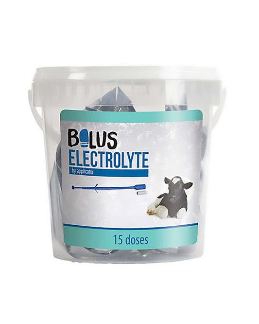 Bolus elektrolyt