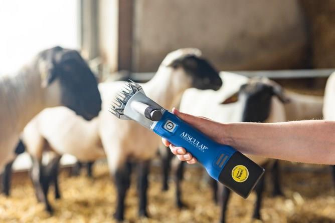 Sladdlös Batteriklippmaskin för får Aesculap Econom Nova CL