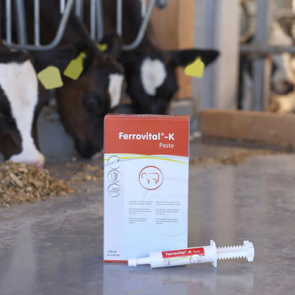 Ferrovital pasta 6x 20 ml