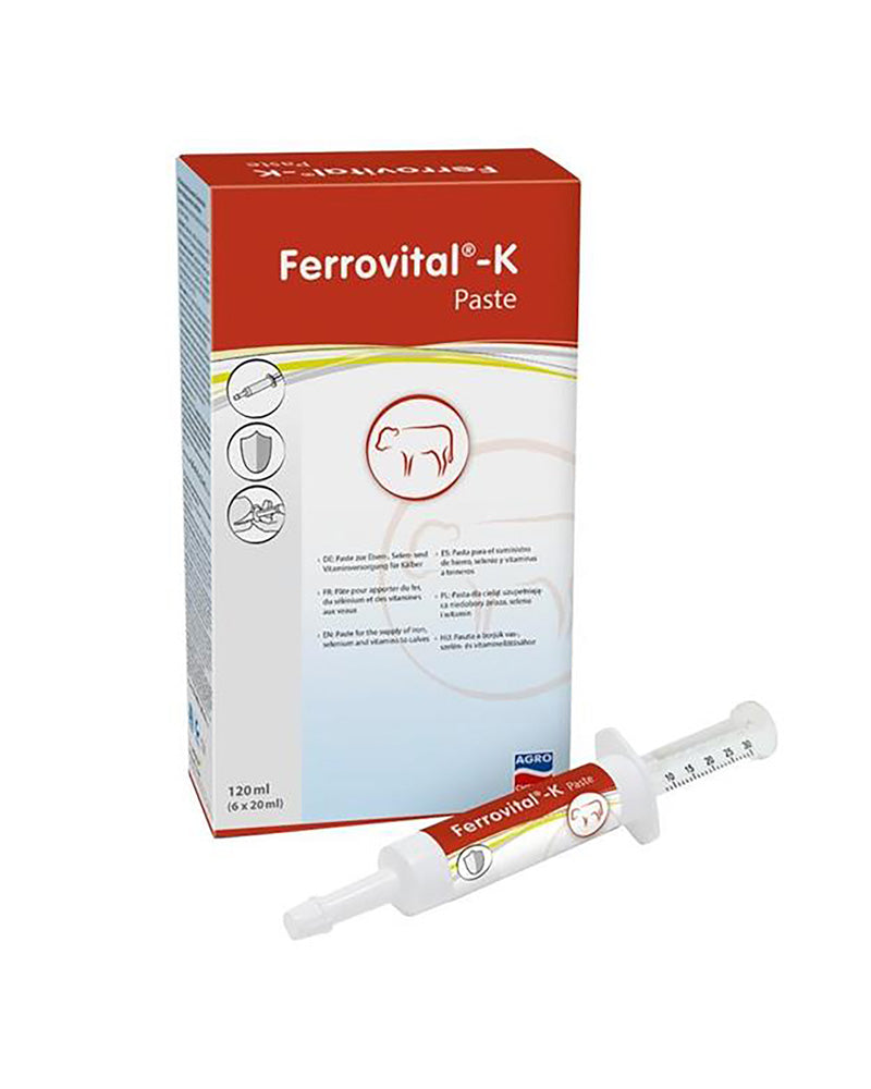 Ferrovital-tahna 6 x 20 ml