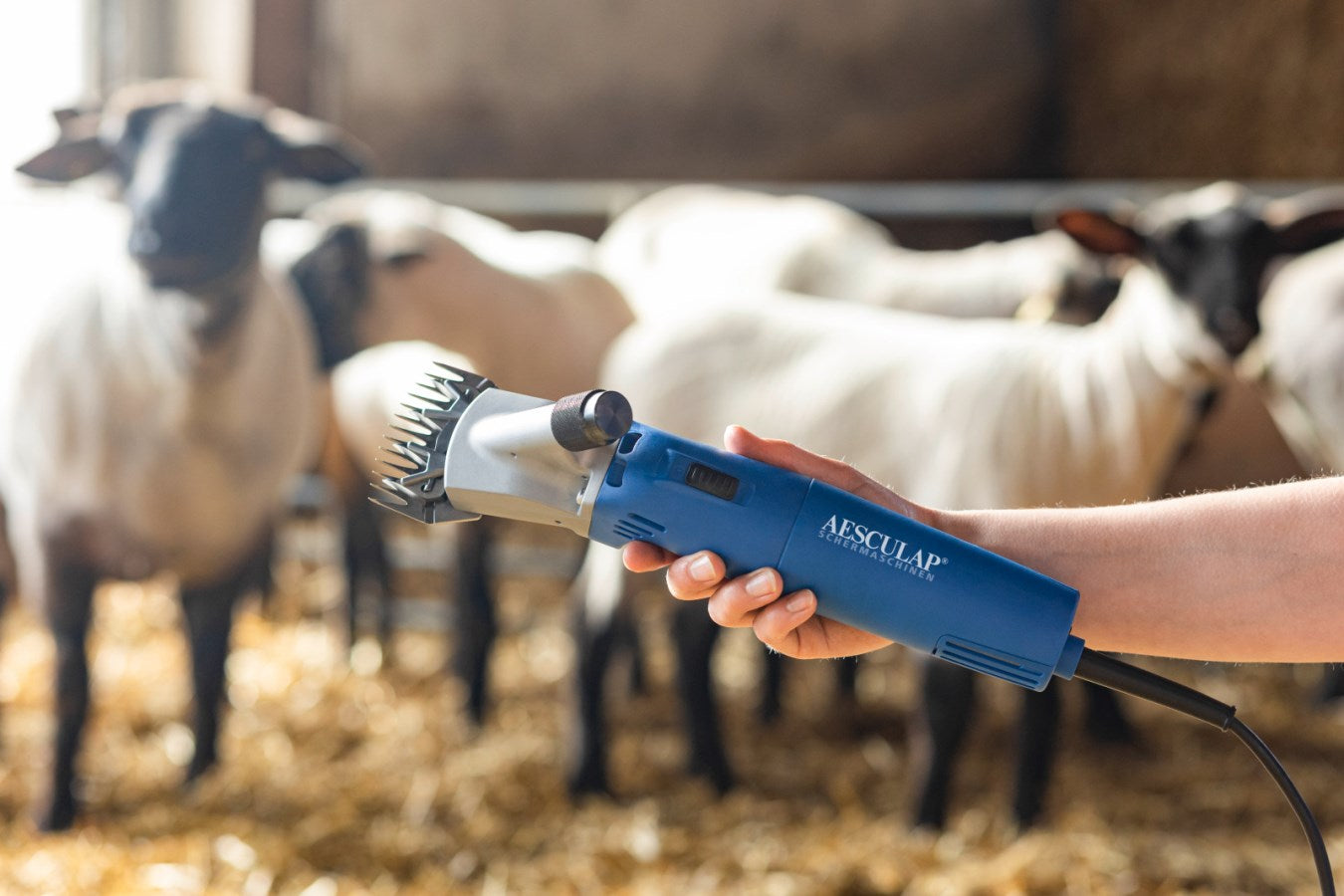 Aesculap Fårklippningsmaskin Econom NOVA GT474