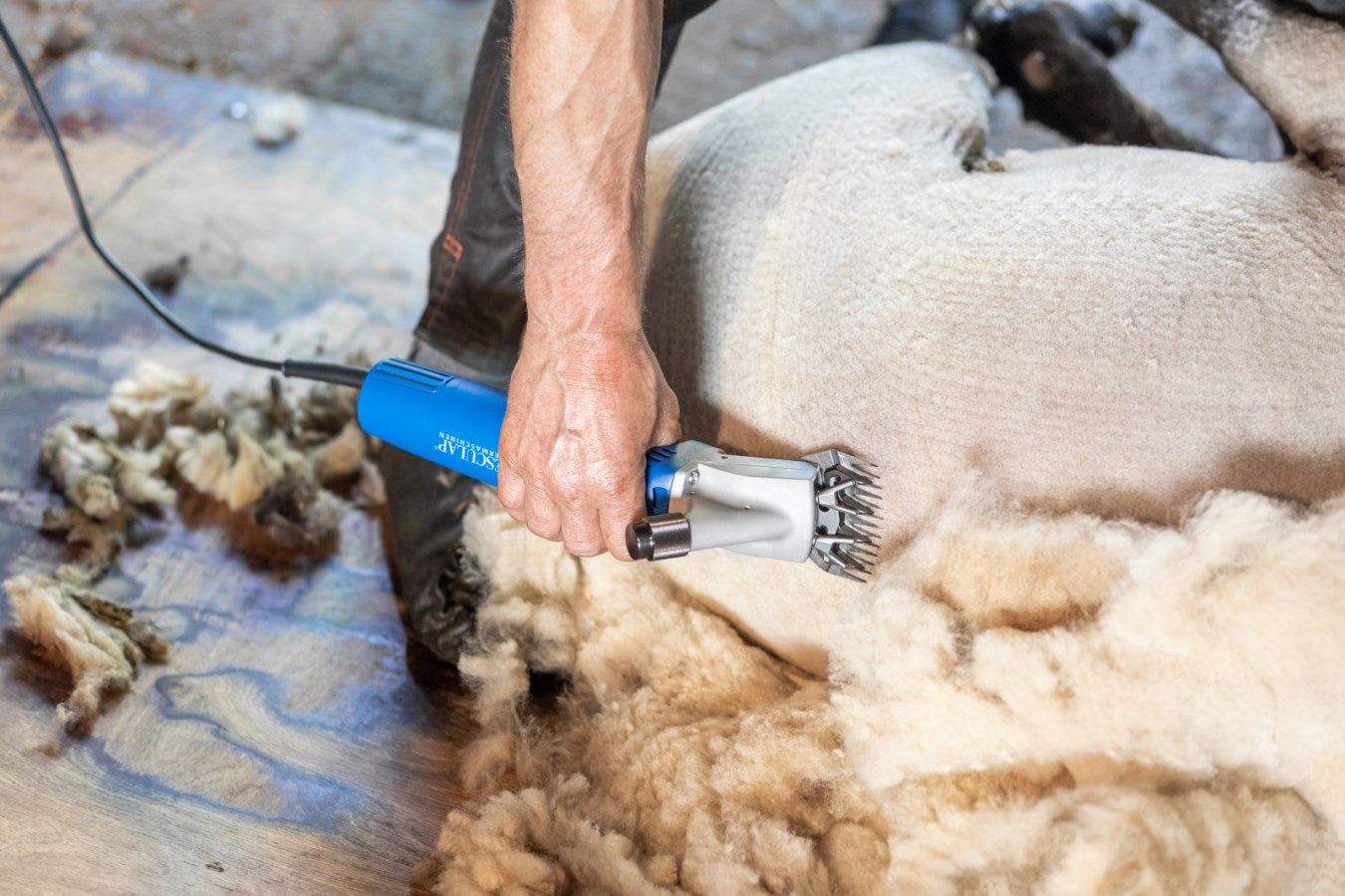 Aesculap Fårklippningsmaskin Econom NOVA GT474